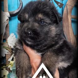 FB_IMG_1743552935974