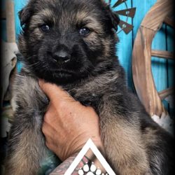 FB_IMG_1743552947344