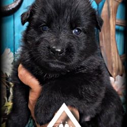 FB_IMG_1743552951742