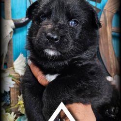 FB_IMG_1743552954990