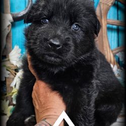 FB_IMG_1743552958349