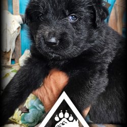 {"remix_data":[],"remix_entry_point":"challenges","source_tags":["local"],"origin":"unknown","total_draw_time":0,"total_draw_actions":0,"layers_used":0,"brushes_used":0,"photos_added":0,"total_editor_actions":{},"tools_used":{"remove":1},"is_sticker":false,"edited_since_last_sticker_save":true,"containsFTESticker":false}